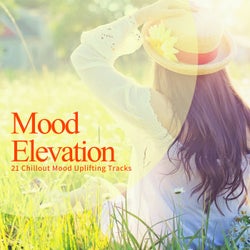 Mood Elevation - 21 Chillout Mood Uplifting Tracks