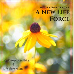 A New Life Force - Meditation Tracks For Deep Breathing & Life Extension