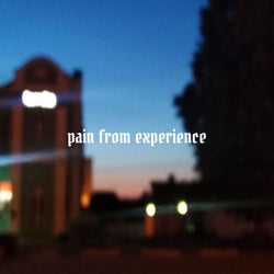 Pain from Experience