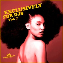 Exclusively For Djs Vol. 2