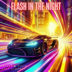 Flash In The Night