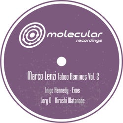 Taboo Remixes, Vol. 2