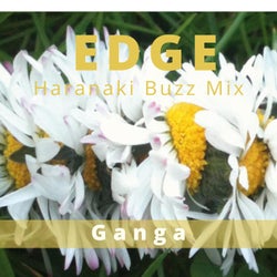 Edge (Haranaki Buzz Mix)