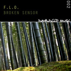 Broken Sensor EP