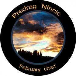 Predrag Nincic February Chart 2013