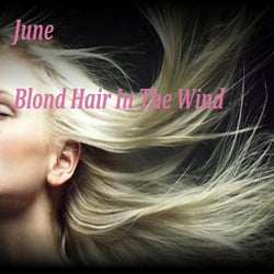 Blonde Hair In The Wind