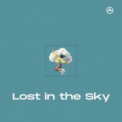 Lost in the Sky