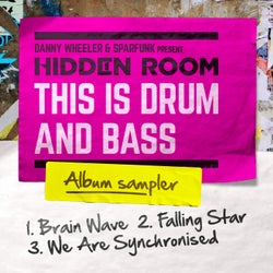Danny Wheeler & Sparfunk Present Hidden Room / This Is Drum And Bass LP Sampler