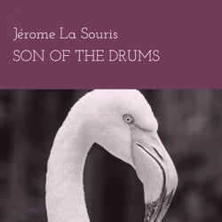 Son of the Drums