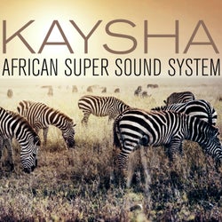 African Super Sound System