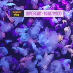 Magic Wood