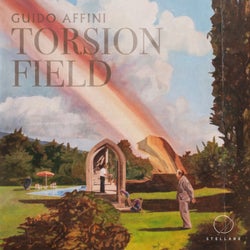 Torsion Field
