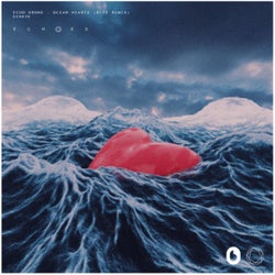 Ocean Hearts (feat. Kaze) [bite Remix]