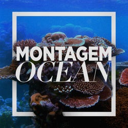 MONTAGEM OCEAN