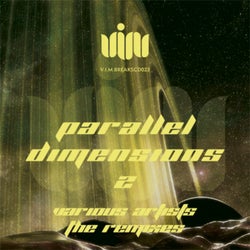 PARALLEL DIMENSIONS 2-THE REMIXES