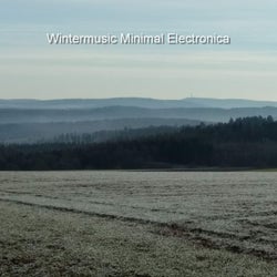 Wintermusic Minimal Electronica (Volume 1)