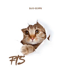 FTS (Extended Mix)