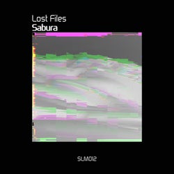 Lost Files (Original)