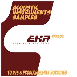 ACOUSTIC INSTRUMENTS SAMPLES