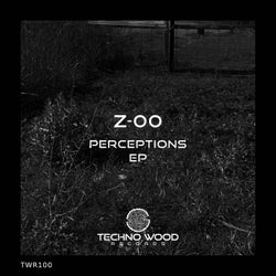 Perceptions EP