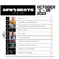 AFRO BEATS - Top Ten Chart by AMG Records