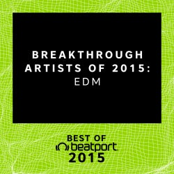 Breakthrough Artists of 2015: EDM