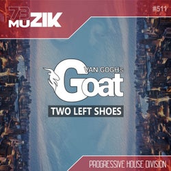 Two Left Shoes