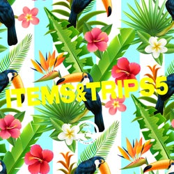 Items & Trips 5