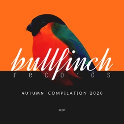 Bullfinch Autumn 2020 Compilation