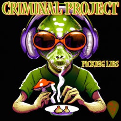 CRIMINAL PROJECT (Picking Libs)