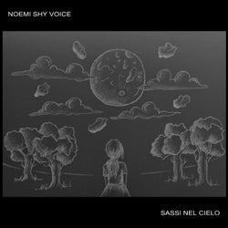 Sassi nel cielo