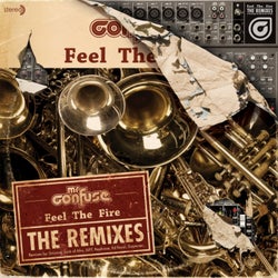 Feel the Fire: The Remixes