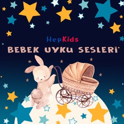 Bebek Uyku Sesleri