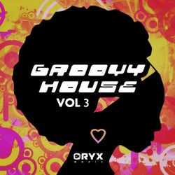 Groovy House, Vol. 3