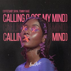 Calling (Lose My Mind)