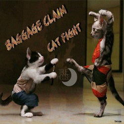 Cat Fight