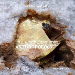 Anthropology