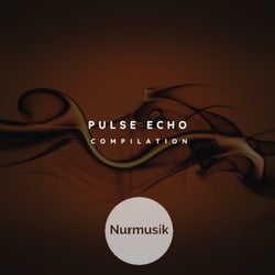 Pulse Echo