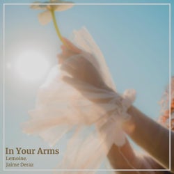 In Your Arms (feat. Jaime Deraz) [Original Mix]