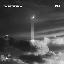 Under The Moon