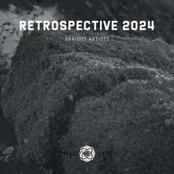 Retrospective 2024