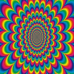 The Psychedelic Lesson