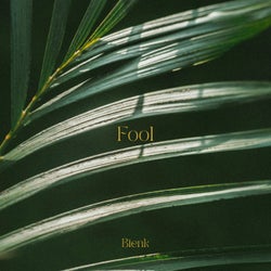 Fool