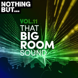Nothing But... That Big Room Sound, Vol. 11