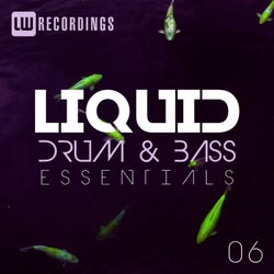 Liquid Drum & Bass Essentials, Vol. 06