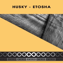 Husky's Etosha Chart