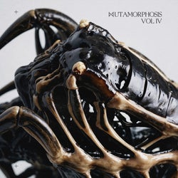 MUTAMORPHOSIS, Pt. 4