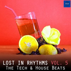 Lost in Rhythms, Vol. 5 (The Tech & House Beats)