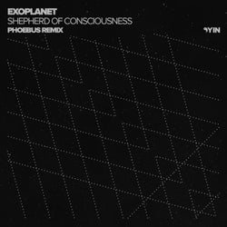 Shepherd Of Consciousness (Phoebus Remix)