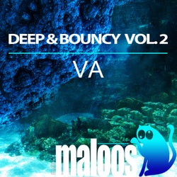 Deep & Bouncy Vol. 2